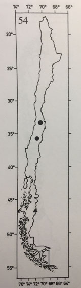 figura1